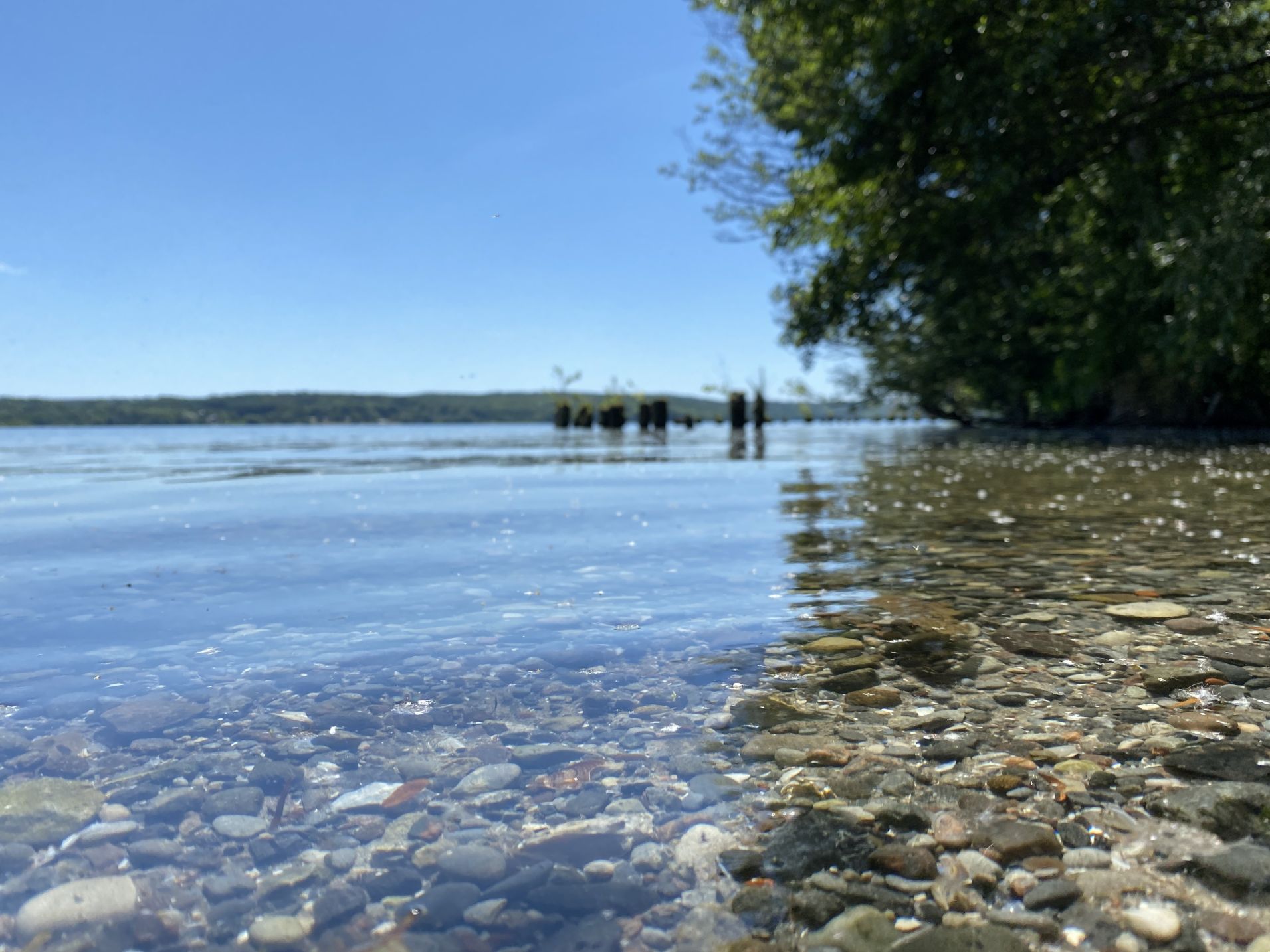 Ausflug Tollensesee